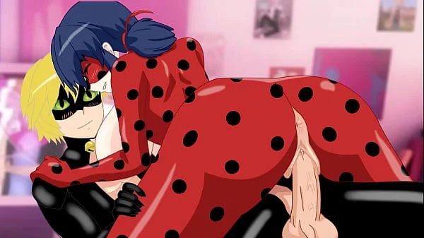 Ladybug X Cat noir