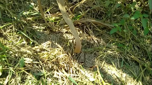 देशी ललिता भाभी को खेत में लपका कर चोदा