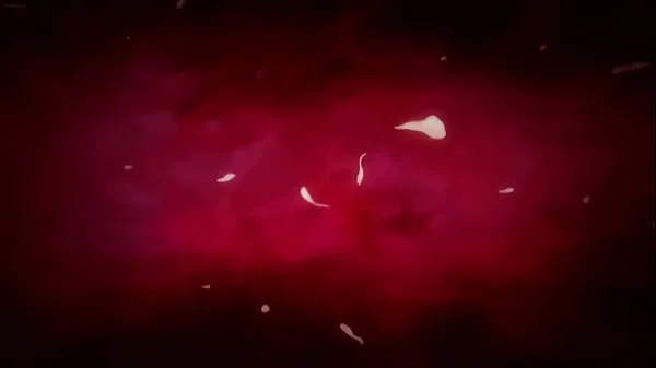 HENTAI COMPLIATION