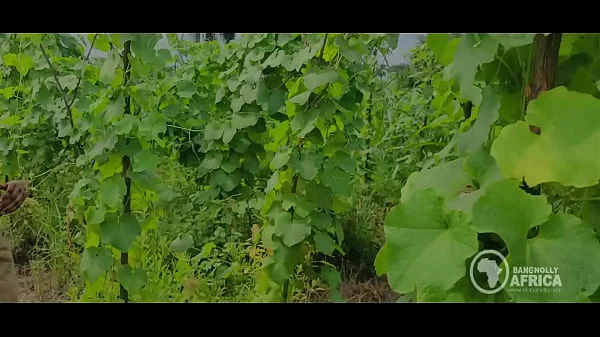 Bangnolly Africa - Beautiful African Maidens get quick outdoor blowjob